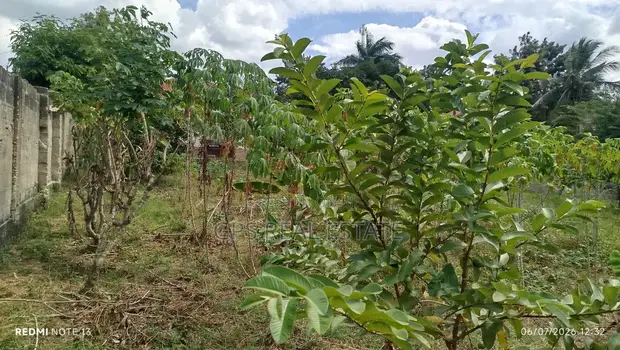 Residential Plot for Sale, Kibamba - 1