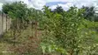 Residential Plot for Sale, Kibamba - 1