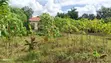 Residential Plot for Sale, Kibamba - 2