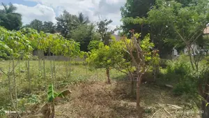 Residential Plot for Sale, Kibamba