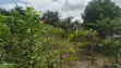 Residential Plot for Sale, Kibamba - 4