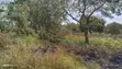 Residential Plot for Sale - Kibamba Kibwegere - 3