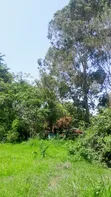 Kiwanja cha 7212 Sqm kwa Uuzaji Arusha Sakina - 3