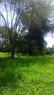 Kiwanja cha 7212 Sqm kwa Uuzaji Arusha Sakina - 4