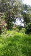 Kiwanja cha 7212 Sqm kwa Uuzaji Arusha Sakina - 5
