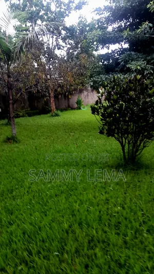 4-Bedroom Mansion for Rent in Moshono, Arusha