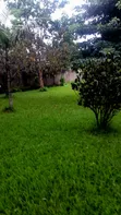 4-Bedroom Mansion for Rent in Moshono, Arusha - 1