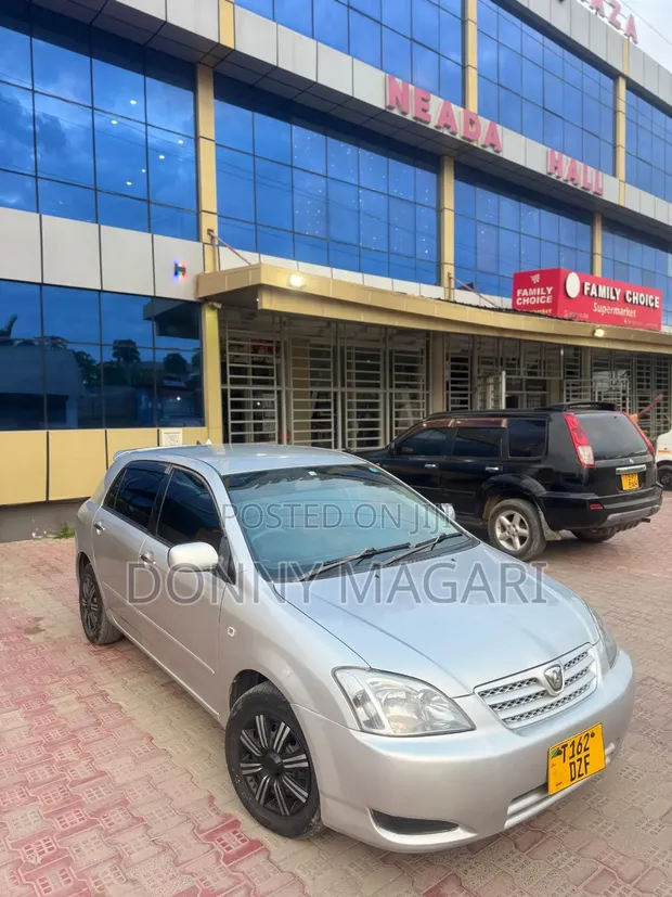 Toyota Allex 2003 Silver - 1