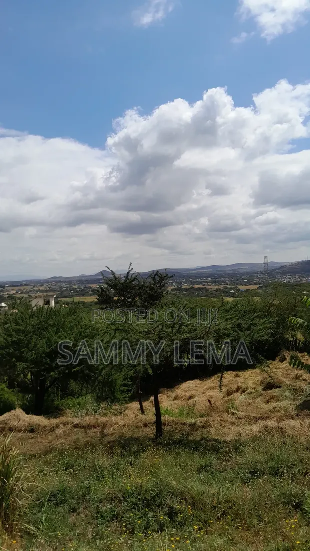 5-Bedroom Farm House for Sale in Mateves, Arusha - 1