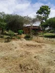 5-Bedroom Farm House for Sale in Mateves, Arusha - 3