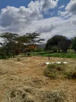 5-Bedroom Farm House for Sale in Mateves, Arusha - 5
