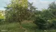 2-Bedroom House for Sale in Temboni, Kimara - 4