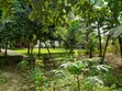 5 Bedroom Bungalow for Rent in Sammy Saidy, Njiro - 2