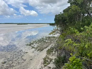 Beachfront Plot for Sale, Charawe, Zanzibar