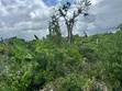 Beachfront Plot for Sale, Charawe, Zanzibar - 3