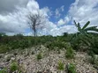 Beachfront Plot for Sale, Charawe, Zanzibar - 4
