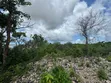 Beachfront Plot for Sale, Charawe, Zanzibar - 5