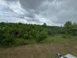 Beach Plot for Sale in Charawe, Zanzibar - 4