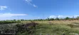 Residential Plot for Sale in Paje, Zanzibar - 1