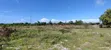 Residential Plot for Sale in Paje, Zanzibar - 2