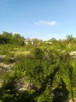 Residential Plot for Sale in Paje, Zanzibar - 3