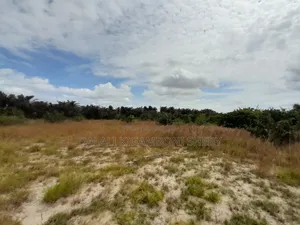 Land for Sale in Kigamboni Kisarawe 2