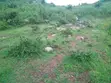 Eneo Linauzwa Idetemya - 2