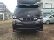 Toyota Alphard 2009 Maroon - 1