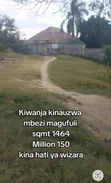 Kiwanja Kinauzwa Mbezi Magufuli - 4