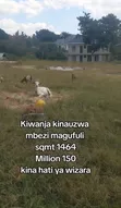 Kiwanja Kinauzwa Mbezi Magufuli - 5