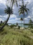 Residential Plot for Sale in Bagamoyo Zinga - 1