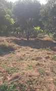 59x47ft Land Plot with Fruit Trees and Well in Kibaha Viziwa - 1