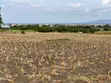 Commercial Plot for Sale, Moshi - Adjacent to Tarmac - 2