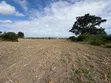 Commercial Plot for Sale, Moshi - Adjacent to Tarmac - 4