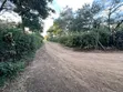 3 Acres Investment Land for Sale, Kisongo Arusha - 4