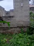 Large Plot for Sale - Mbezi Magufuri (770 sqm) - 1