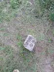 Large Plot for Sale - Mbezi Magufuri (770 sqm) - 3