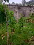 Large Plot for Sale - Mbezi Magufuri (770 sqm) - 5