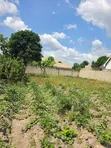 Residential Plot for Sale in Madale Kwa Kawawa - 1