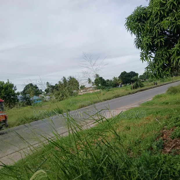 Industrial Plot for Sale Kibaha Misugusugu Along Main Road - 1