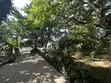 2 Bedroom House for Rent in Oyster Bay - 3