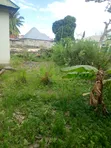 Furnished 3-Bedroom House for Sale in Rada Chuo, Ilala - 4