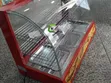Commercial Food Warmer Display - 3 Plates, 1250W - 4