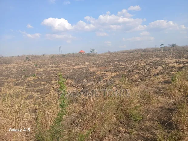 Land for Sale in Chalinze Mzee - 1