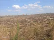 Land for Sale in Chalinze Mzee - 1