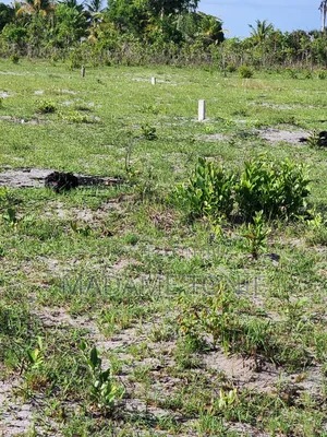 Land for Sale in Kigamboni Tundwi Songani - Installment Payments