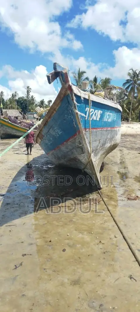 Fishing Boat with Enduro 60 HP Engine - 1