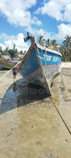 Boti ya Uvuvi yenye Injini ya Enduro 60 HP