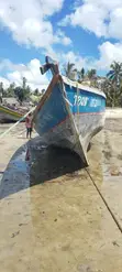 Fishing Boat with Enduro 60 HP Engine - 2