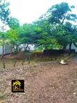 2 Bedroom Villa for Rent, Oyster Bay - 4